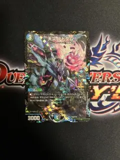 2026年最新】デドダム csプロモの人気アイテム - メルカリ