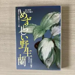 2026年最新】野生蘭の人気アイテム - メルカリ