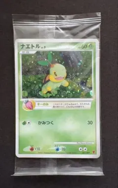 2026年最新】ナエトル 001/PPPの人気アイテム - メルカリ