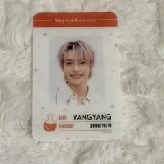 2026年最新】wayv ヤンヤン トレカの人気アイテム - メルカリ