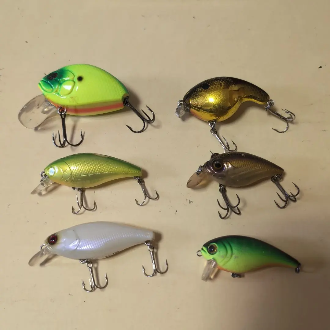 m19581771099_1.jpg?1770700211