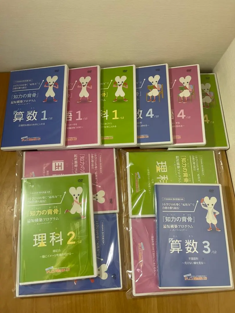 2026年最新】知力の背骨の人気アイテム - メルカリ