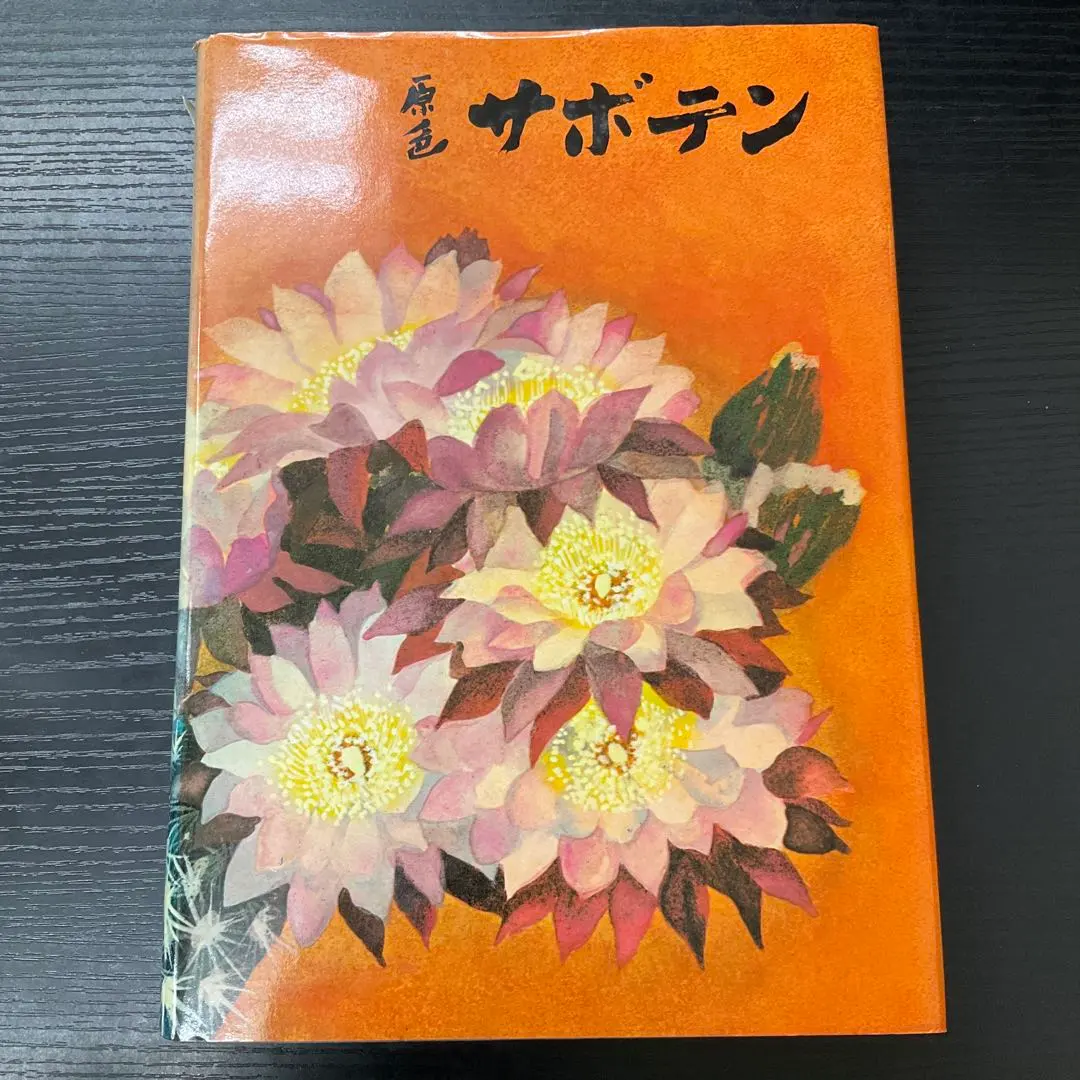 2026年最新】伊藤芳夫の人気アイテム - メルカリ