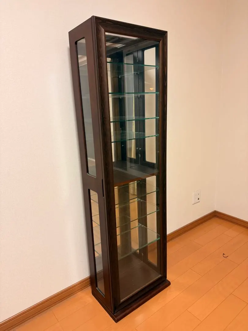 2026年最新】塩川光明堂 コレクションケースの人気アイテム - メルカリ