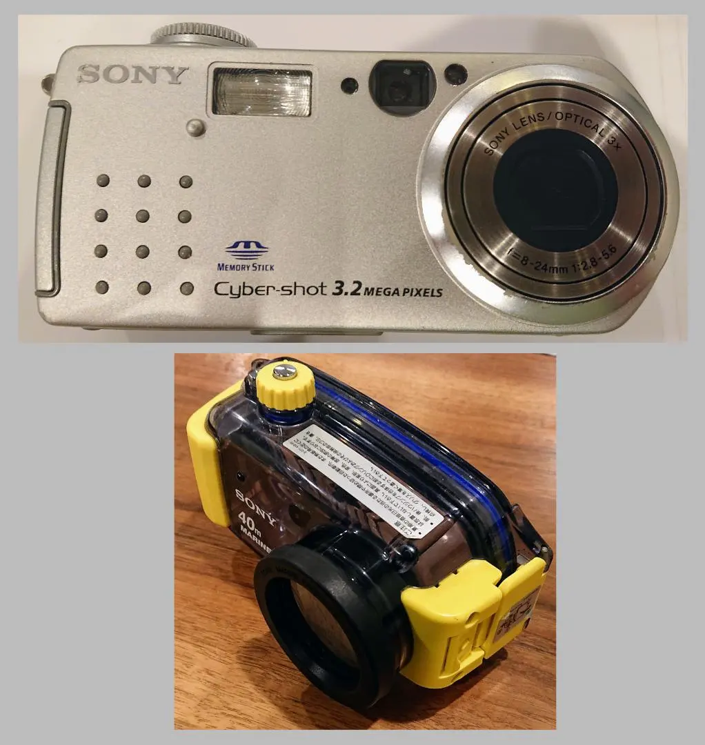 2026年最新】dsc-p5の人気アイテム - メルカリ