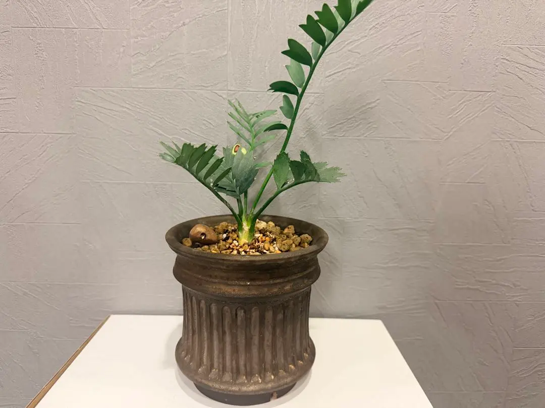 2026年最新】保田修作の人気アイテム - メルカリ