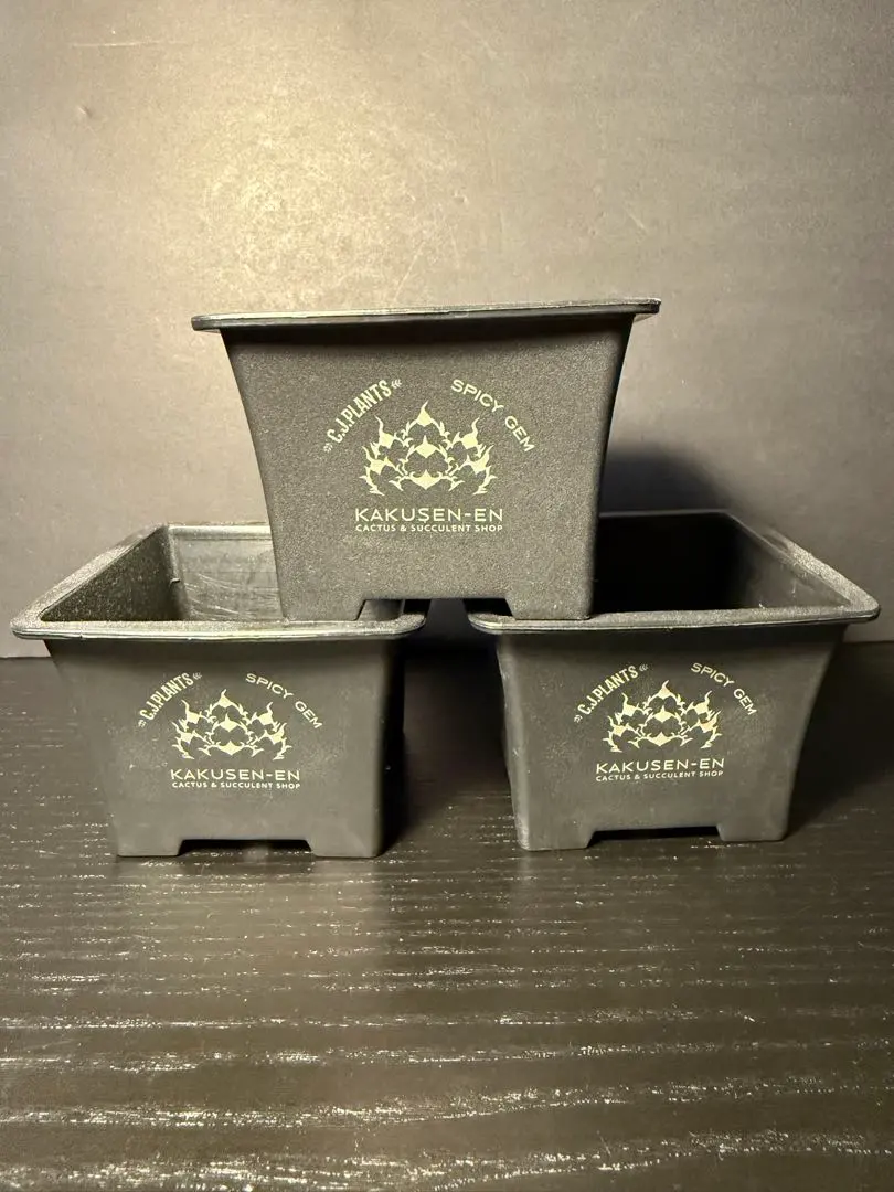 2026年最新】spicy 鶴仙園の人気アイテム - メルカリ