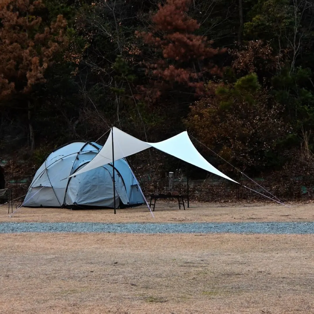 2026年最新】teloタープの人気アイテム - メルカリ
