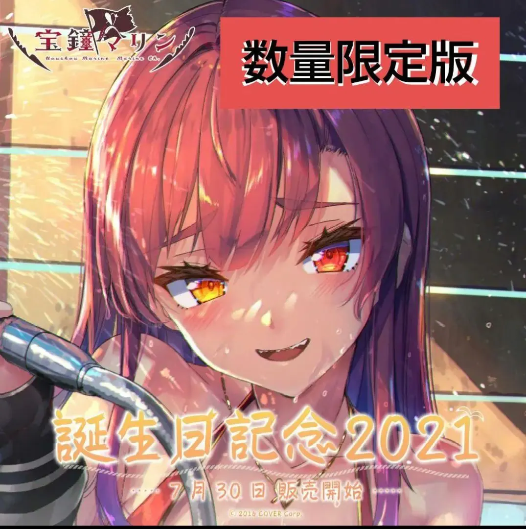 2026年最新】宝鐘マリン 誕生日記念2021 B2お風呂ポスターの人気