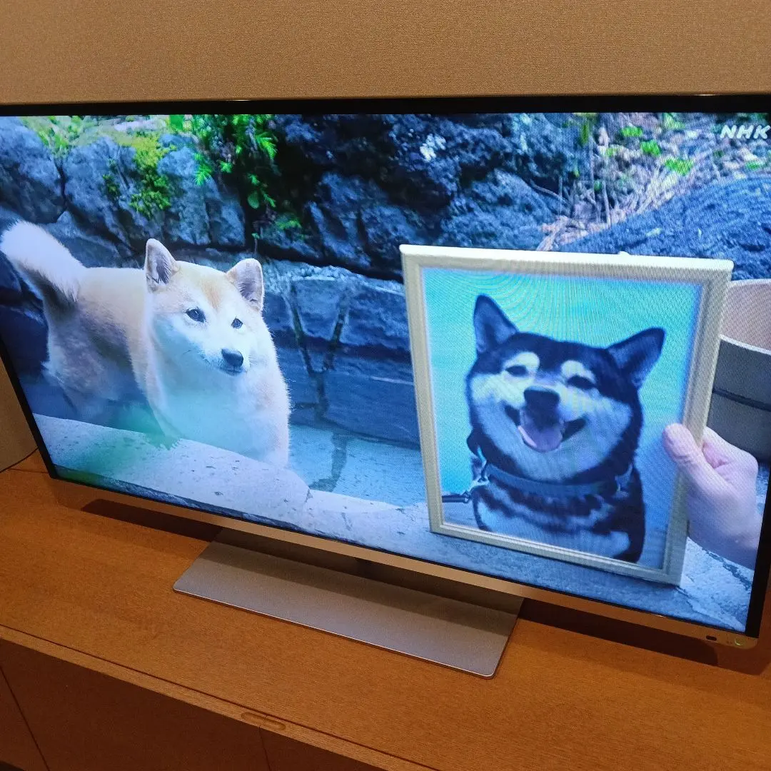 2026年最新】50j7 東芝の人気アイテム - メルカリ