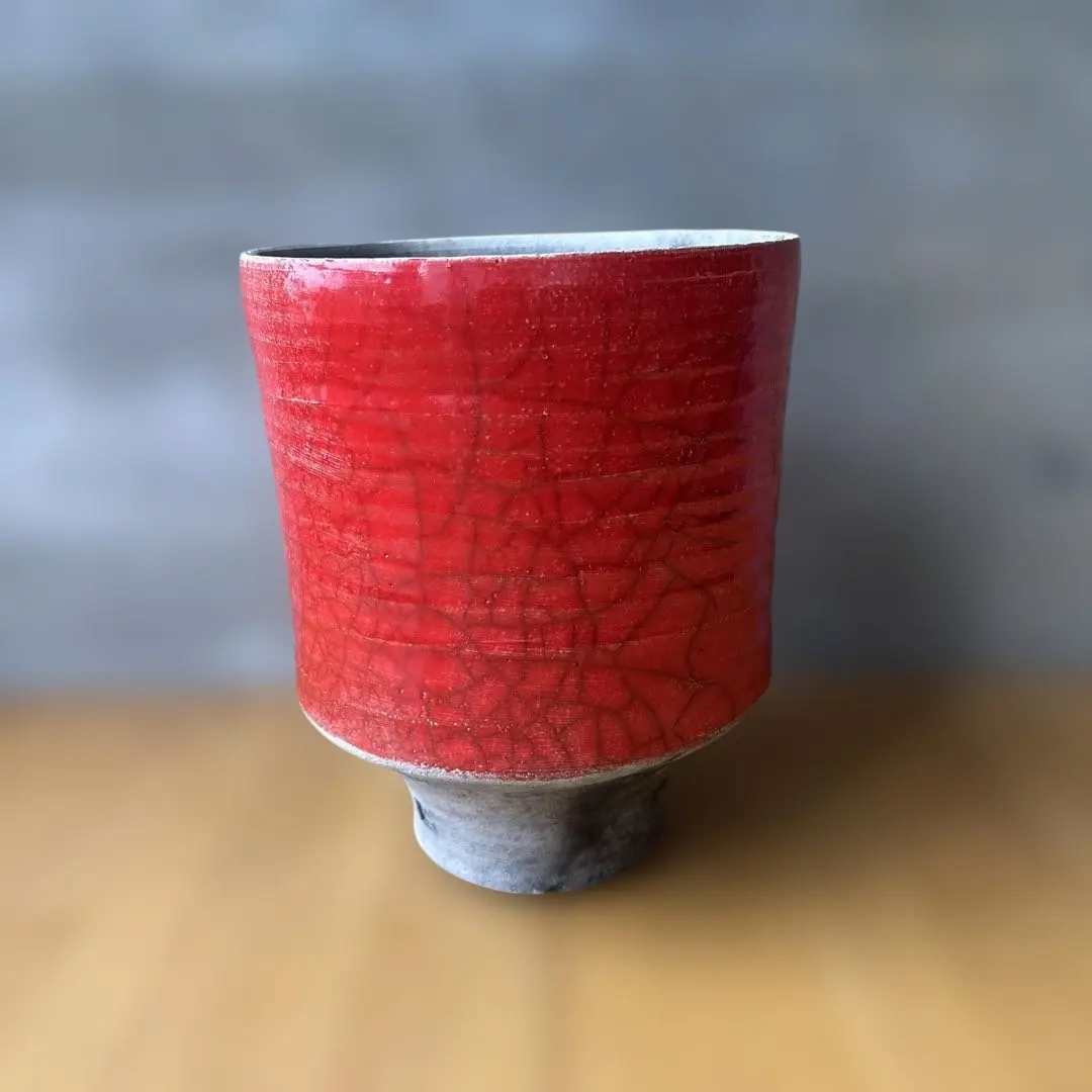 2026年最新】domani ドマーニ 鉢の人気アイテム - メルカリ