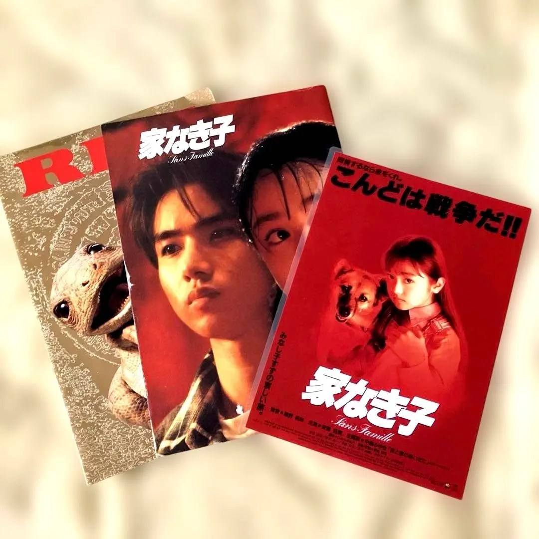 2026年最新】家なき子 パンフレットの人気アイテム - メルカリ