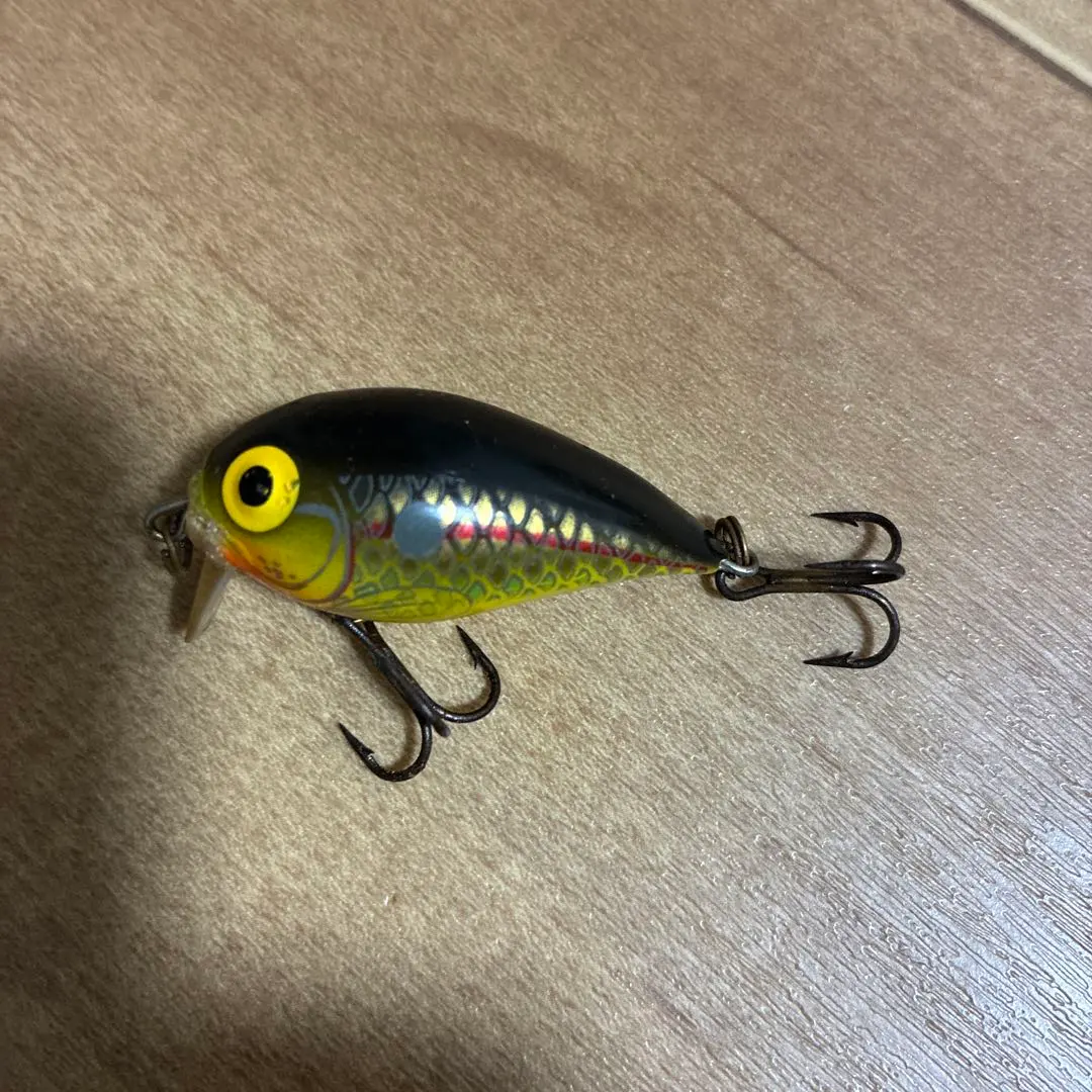 m64282016713_1.jpg?1772620133