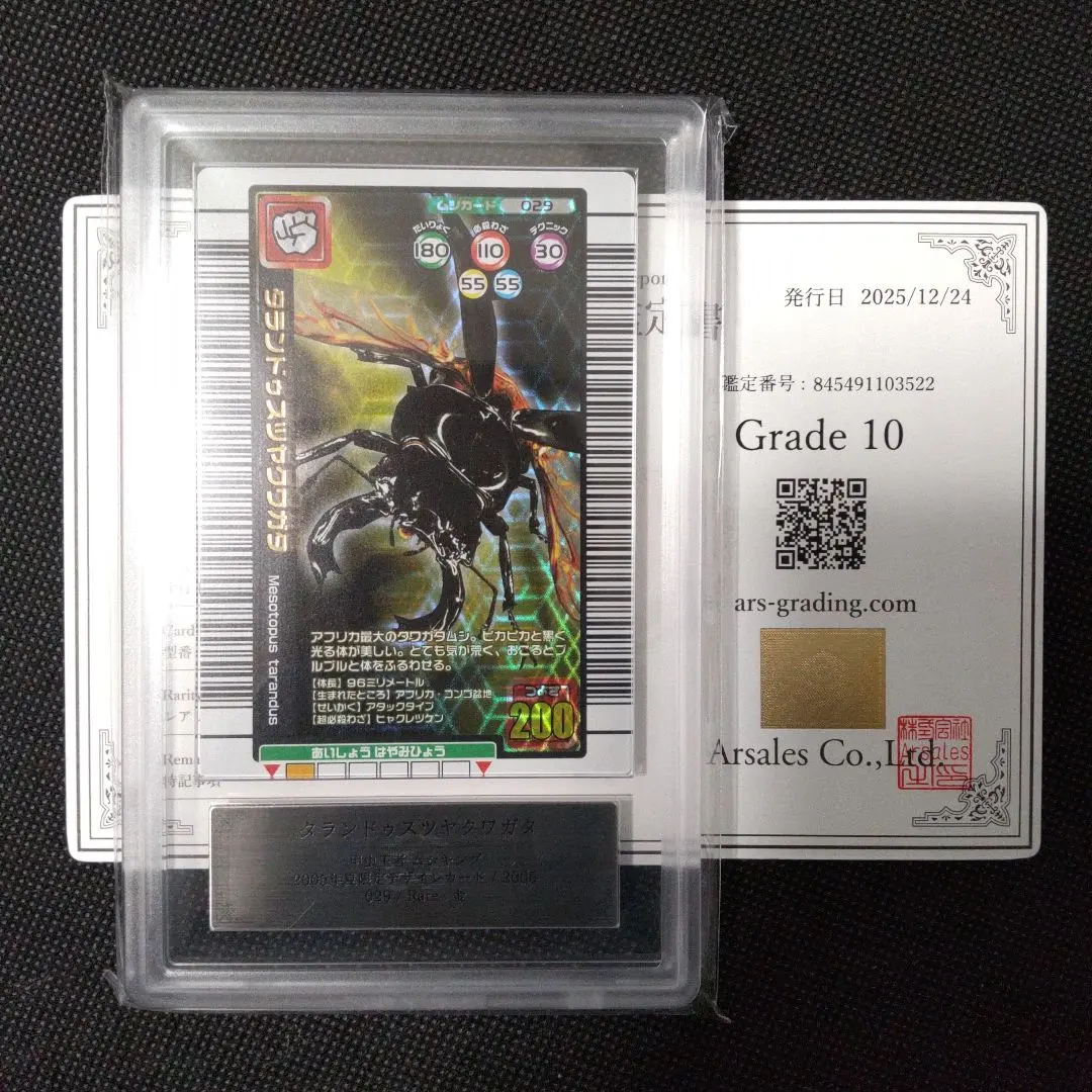 2026年最新】タランドゥスツヤクワガタ 2005の人気アイテム - メルカリ