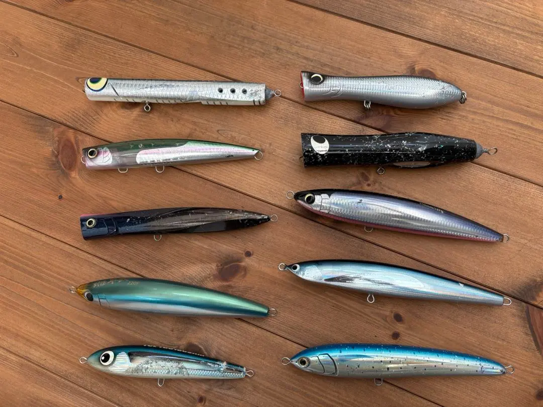 2026年最新】夏至南風 貝田の人気アイテム - メルカリ