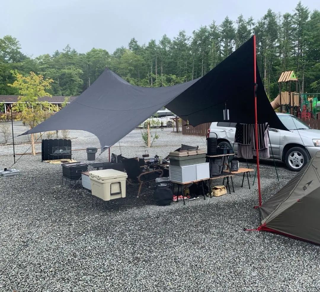 2026年最新】マックワン ポールの人気アイテム - メルカリ