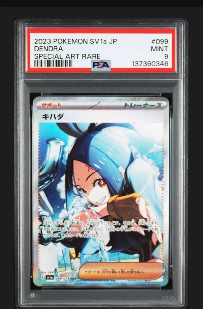 m73292716311_1.jpg?1772780918