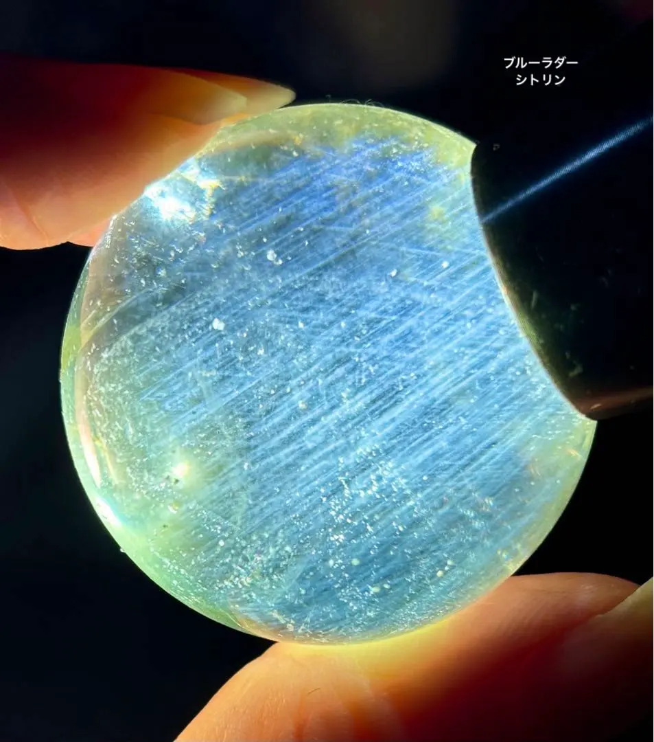 m74081866068_1.jpg?1765363213