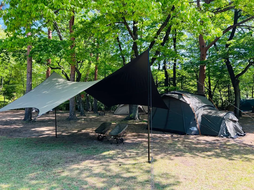 2026年最新】マックワンポールの人気アイテム - メルカリ