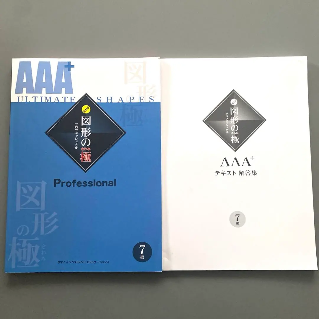 2026年最新】図形の極みの人気アイテム - メルカリ