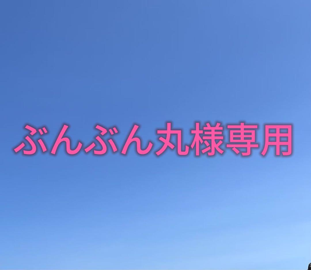 【ぶんぶん丸 】HillZero x ONETIGRIS テント2人 楽天市場】☆楽天スーパーSALE☆79,000円→67,150円☆送料無料