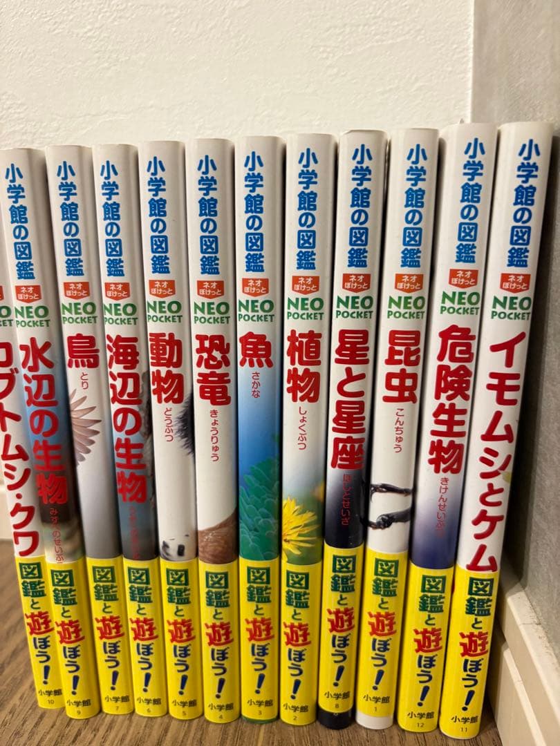 小学館図鑑neoaポケット13巻 - メルカリ
