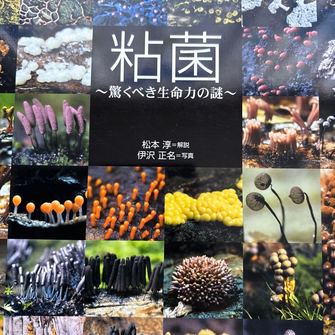 粘菌 ～驚くべき生命力の謎～ 図鑑 生物 - メルカリ