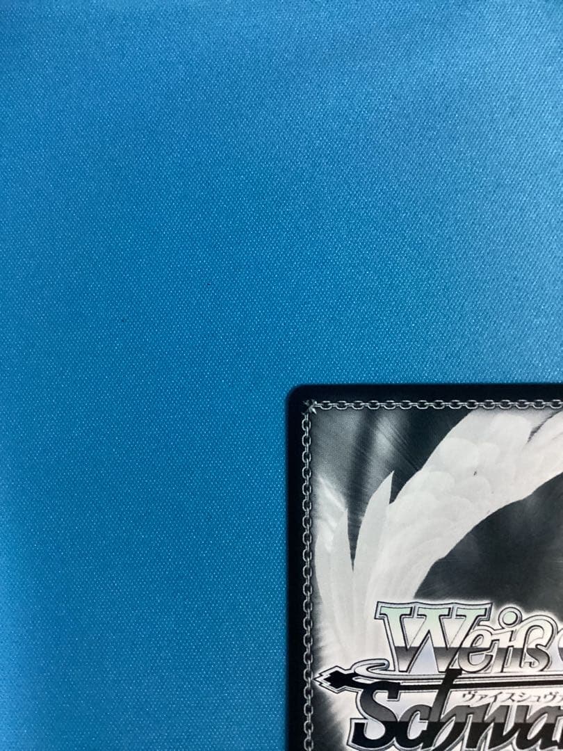 WS 気になっちゃう背中 SEC