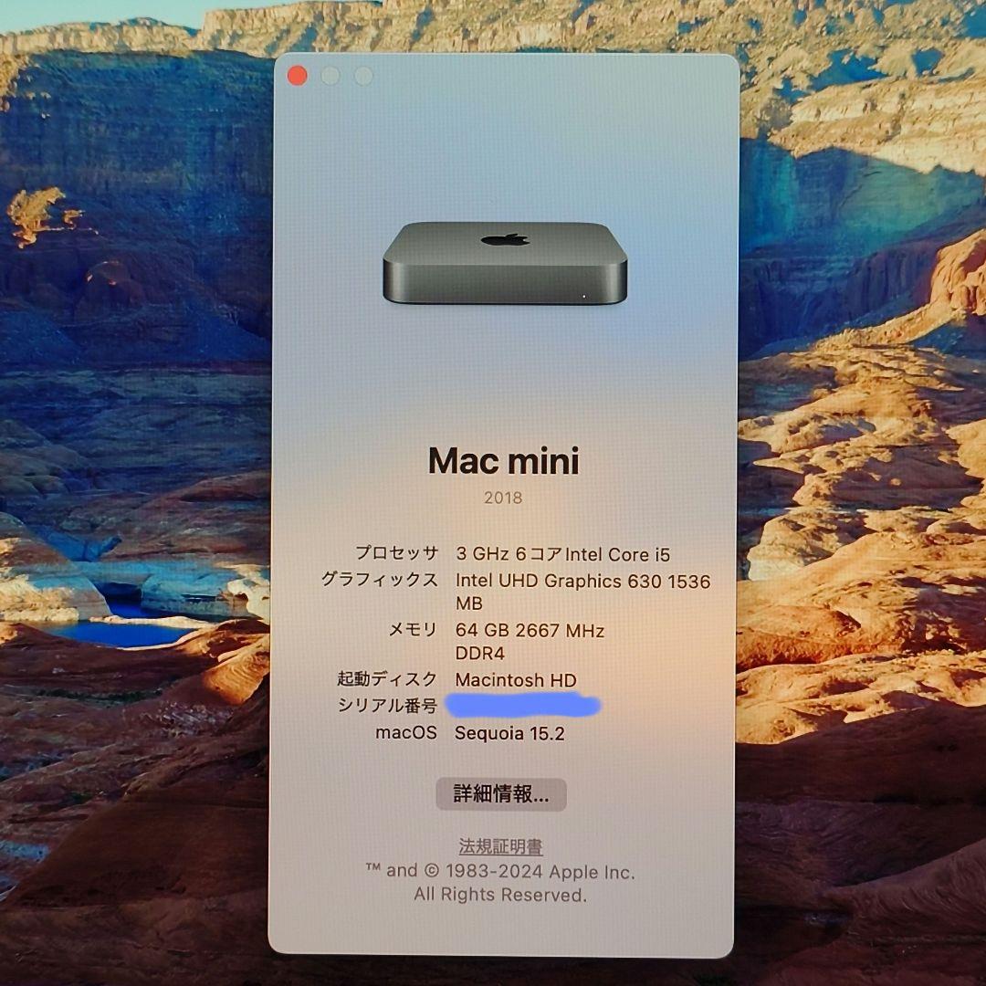 Mac mini メモリ64GB SSD1TB Core i5 Macデスクトップ