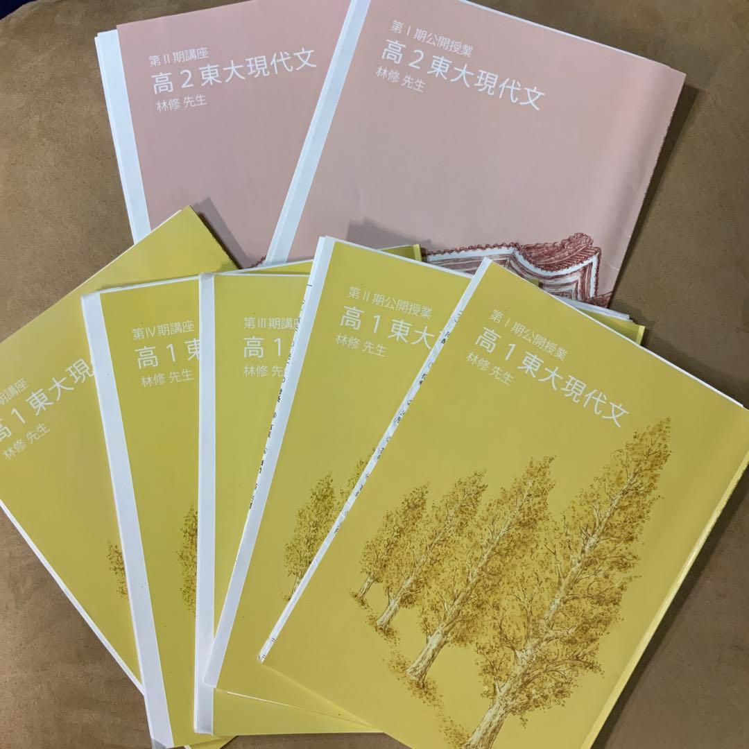 東進 東大特進 現代文セット 林修先生 - メルカリ