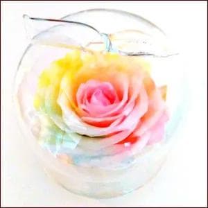【高級プリザーブドフラワー】パステルレインボーローズ　りんごガラスドーム BABYDOLL - レインボーローズ・プリザーブドフラワーガラスのりんご