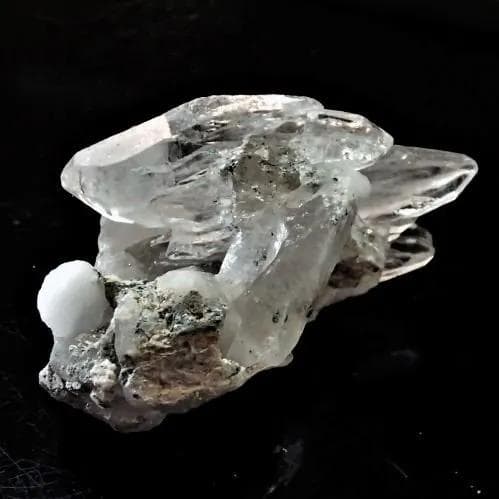 値下しました！ティップリン産クラスター53-3