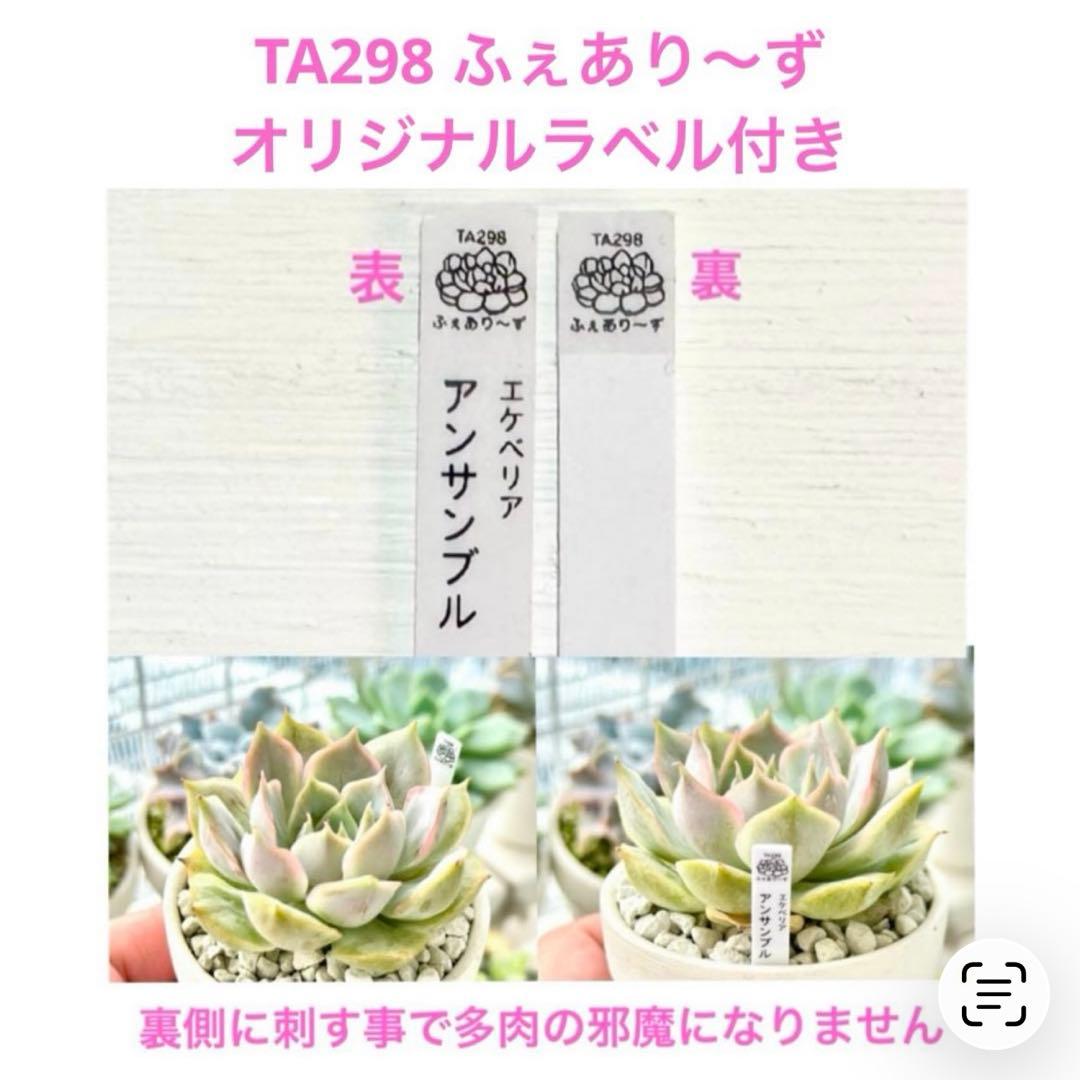 【サービス品@1480〜】ユリクラミス