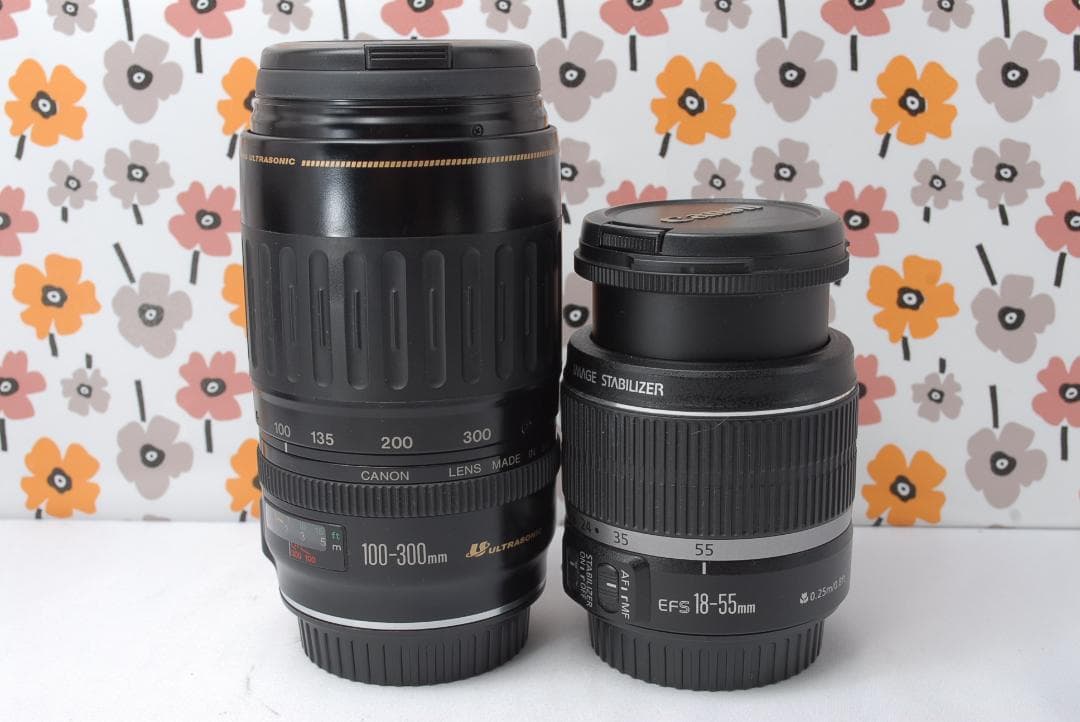 ❤Canon EOS 70D❤高速AF＆連写で瞬間撮影❤超望遠レンズ