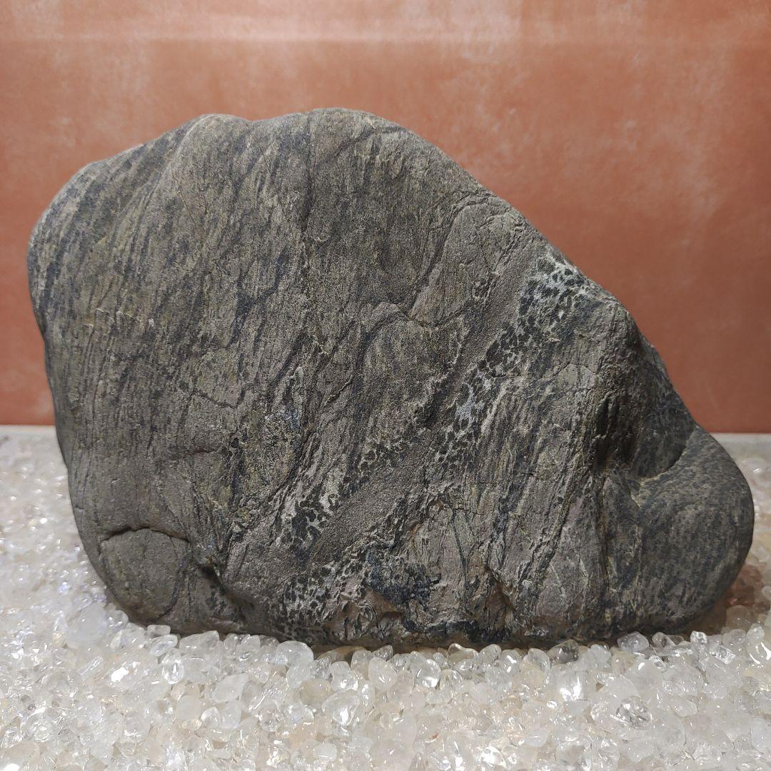 瀬田川石 鑑賞石 天然石 水石 ウブ石 変成岩 片麻岩 #54 - メルカリ