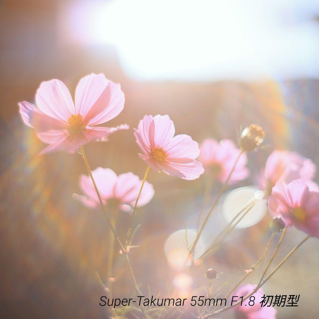 Super-Takumar 55mm F1.8 初期型 S/N：629947 オールドレンズ】「ペンタックス スーパータクマー55mm F1.8」と