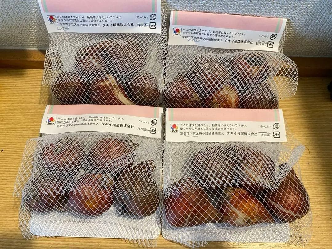 チューリップ ミステリーバレー 20球 - メルカリ