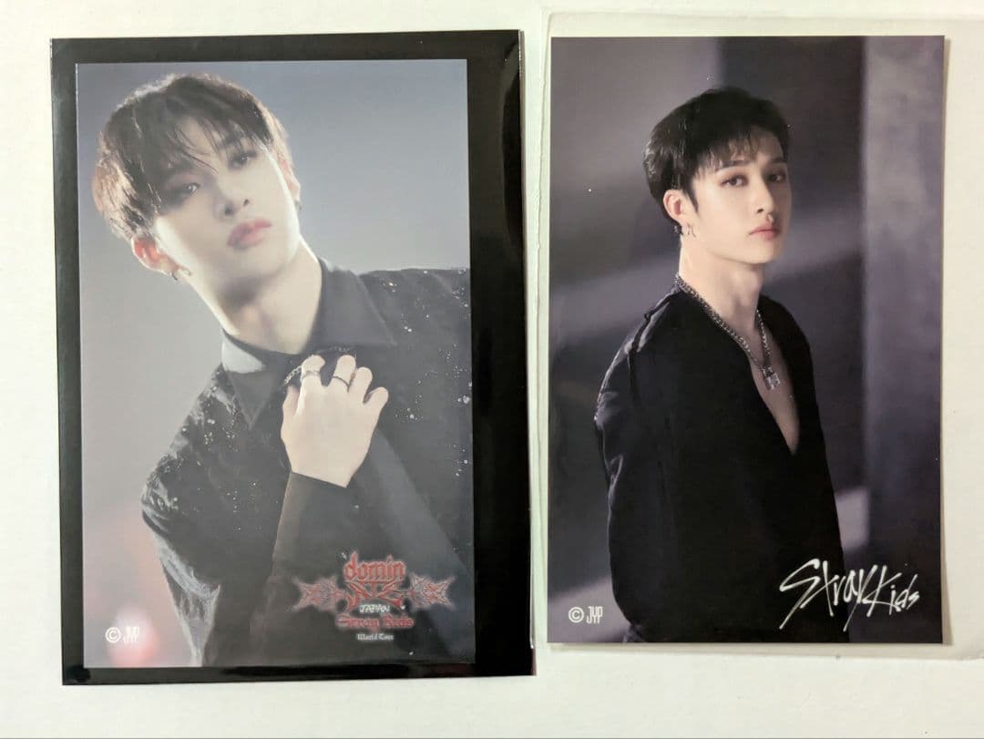 Stray Kids バンチャン ステッカー①8枚 スキズ - メルカリ
