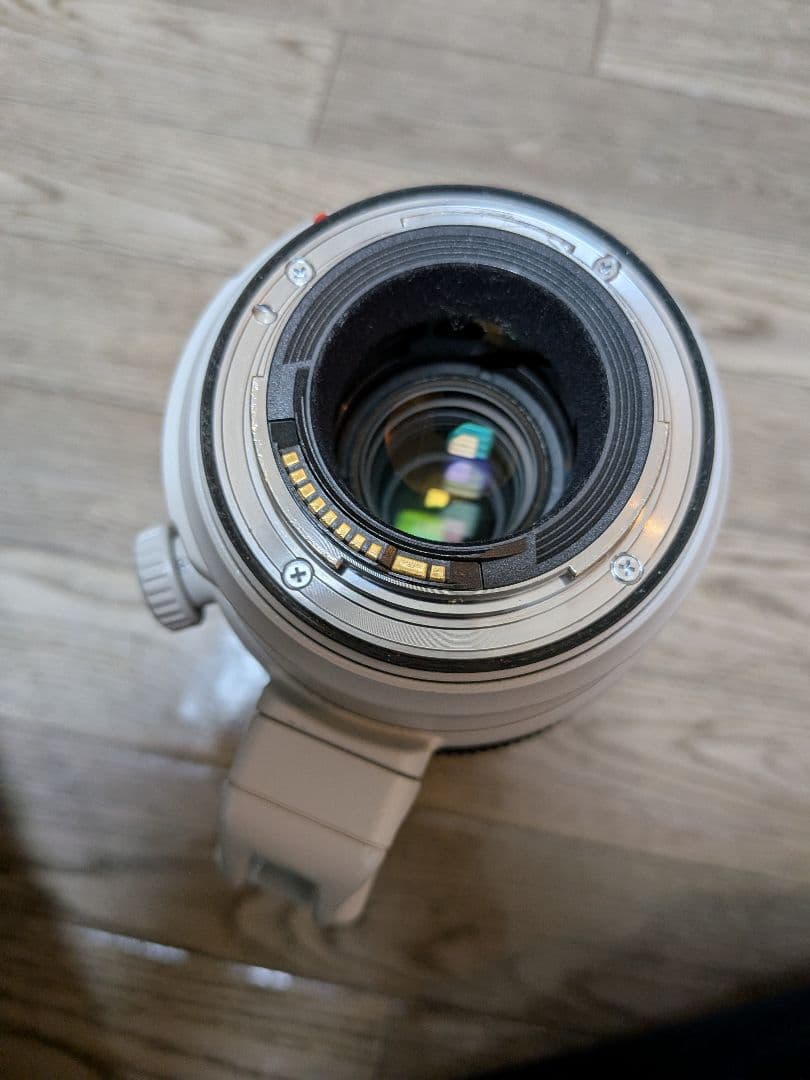 レンズ(ズーム) Canon EF 100-400mm F4.5-5.6 L IS II USM