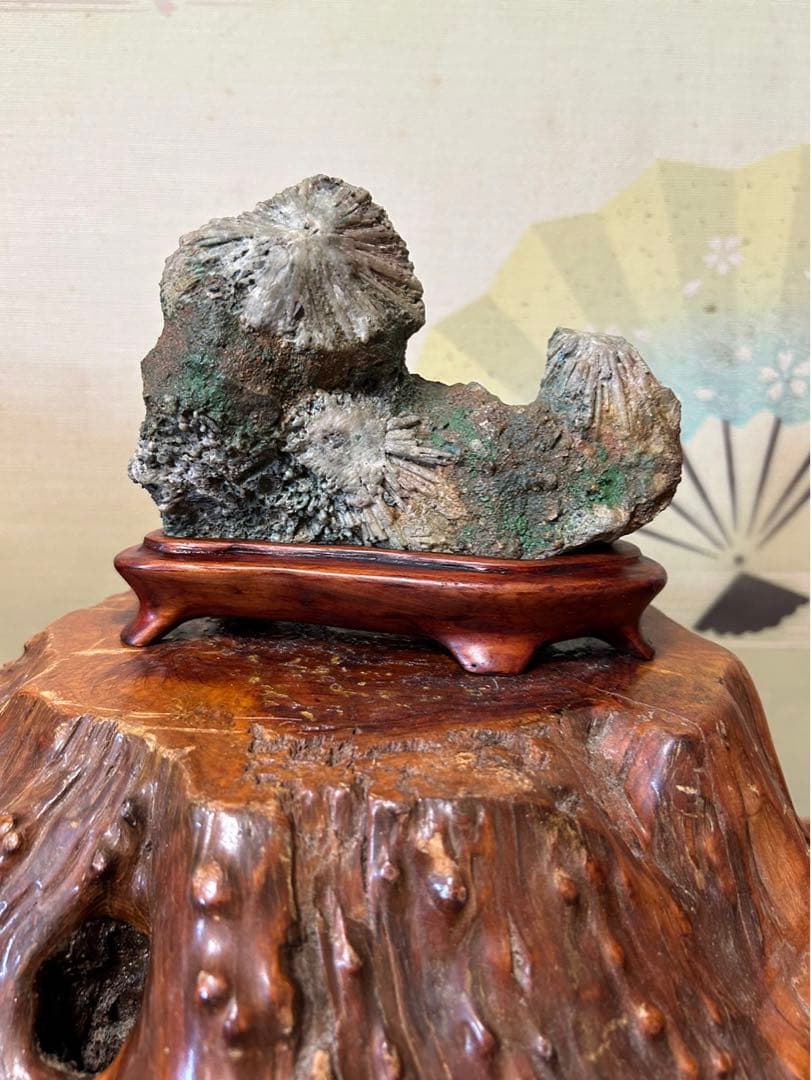 下仁田菊花石　名石 菊花石 (下仁田産) 【 水石 22 ― 04 】 - 小品盆栽専門店 湘風園