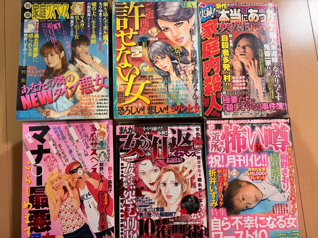 レディースコミック ニャンニャン様専用·レディコミ11冊+1冊セット