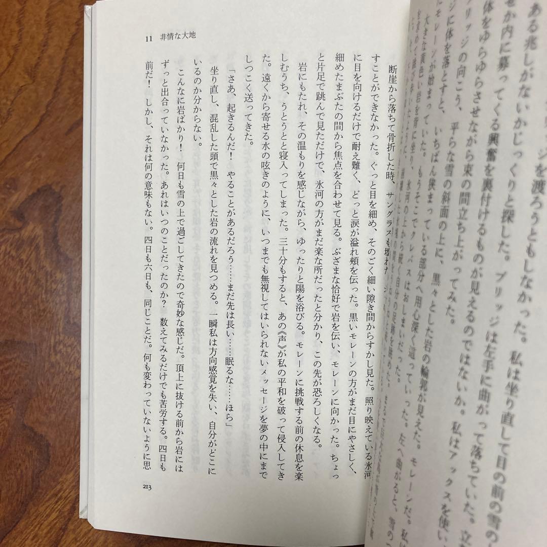死のクレバス アンデス氷壁の遭難　除籍