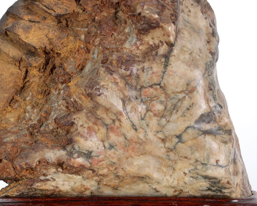 菊花石 菊紋石 大輪 紋石 台座付 3.2kg 鑑賞石 原石 自然石 美石 水石