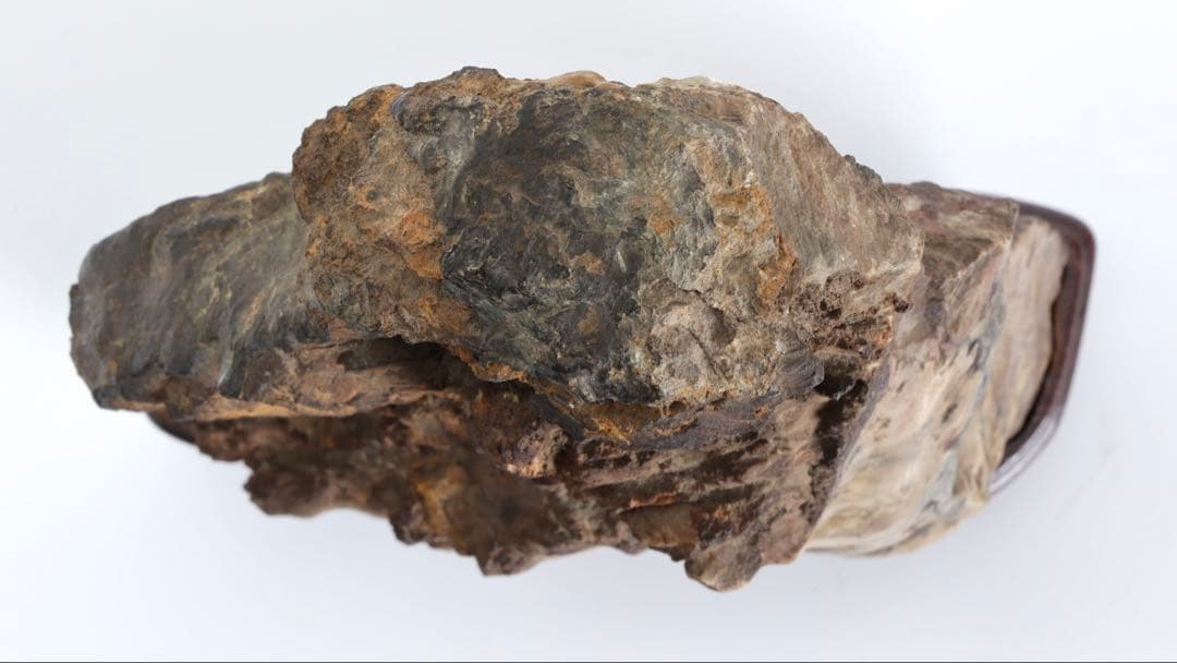 菊花石 菊紋石 大輪 紋石 台座付 3.2kg 鑑賞石 原石 自然石 美石 水石