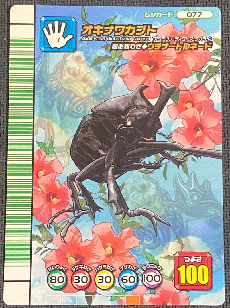 ムシキング オキナワカブト スーパーウチナートルネード 5周年