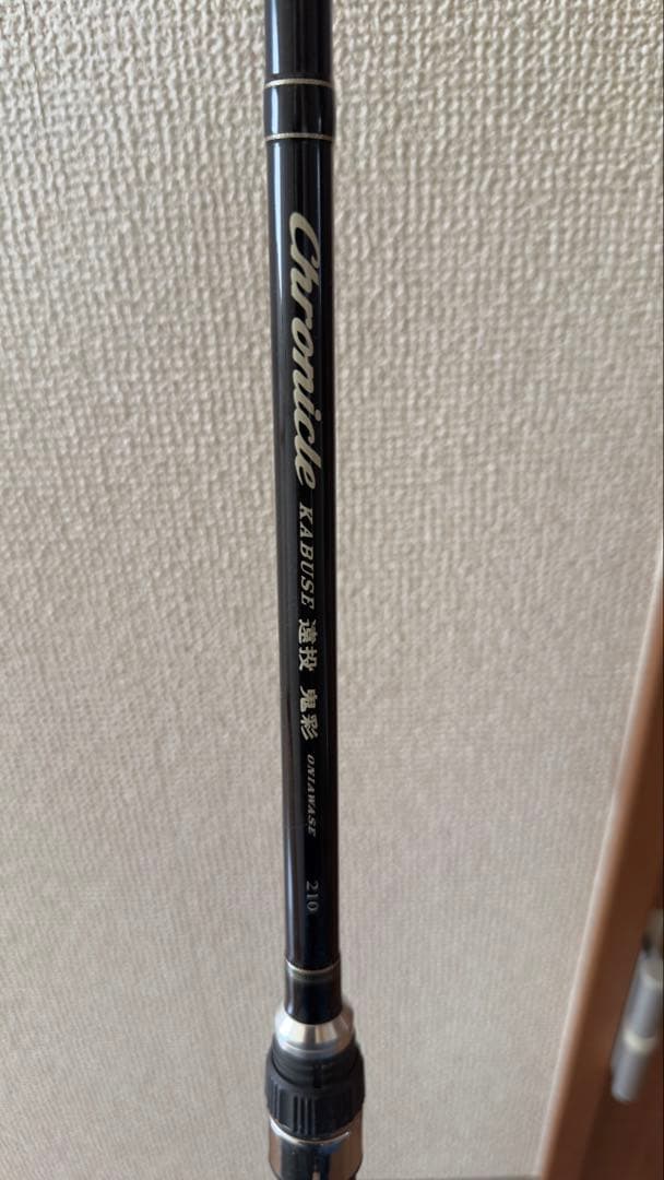 宇崎日新　鬼彩遠投 210cm