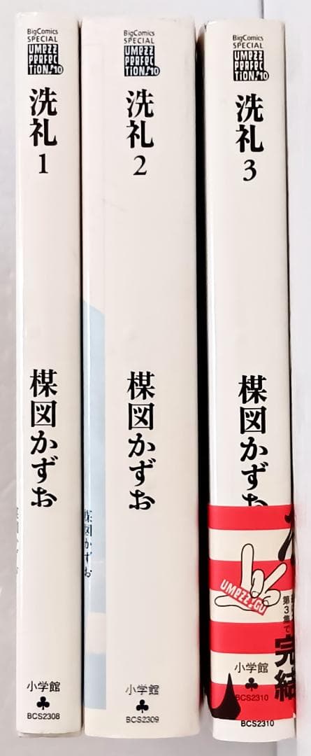 小学館 UMEZZ PERFECTION! 楳図かずお 洗礼 全3巻 - メルカリ