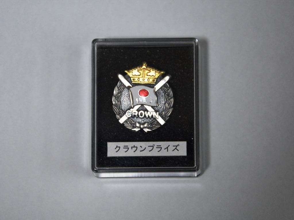 SAJ スキープライズテスト クラウンプライズ 合格バッジ - メルカリ