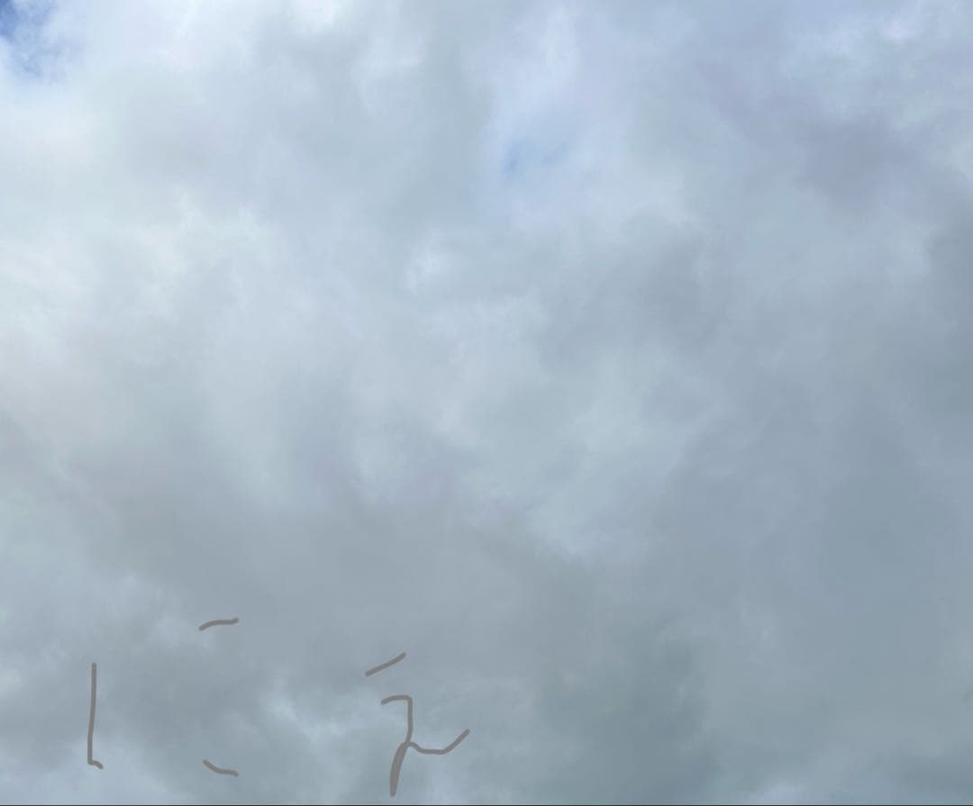 ヴァイス Men's shoes adidas ZX 750 NewNavy/White/DarkNavy (G40159 NE1