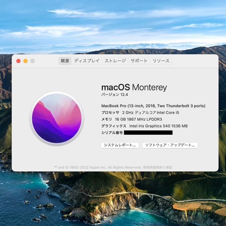 MacBook本体 MacBook pro / 2.0GHz / 16GB / 256GB